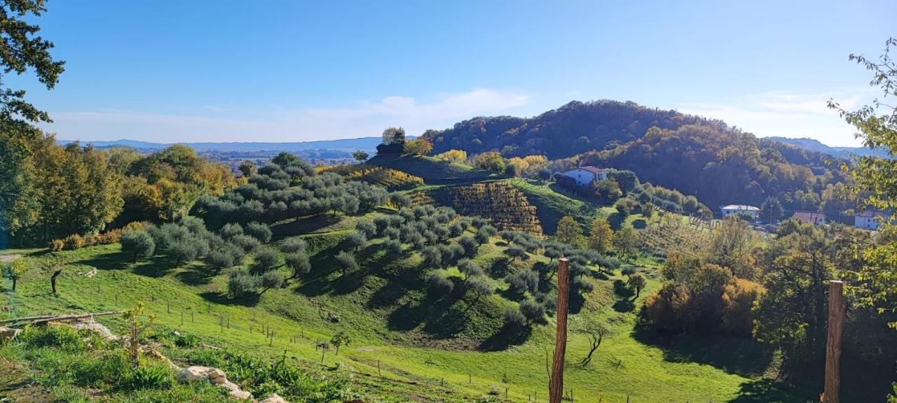 Terrazza San Vettore Camere Con Colazione, Relax In Collina Con Vista Sui Vigneti Docg Asolo Maser Zewnętrze zdjęcie
